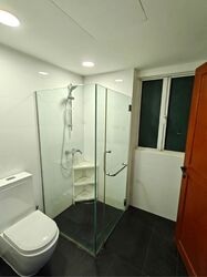 Emerald Garden (D1), Condominium #599650231